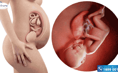 Top 8 dấu hiệu chuyển dạ tuần 38 điển hình mẹ bầu cần biết 